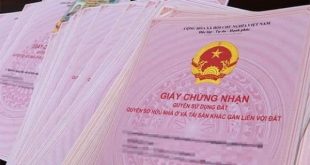 a1 hàng trieuj nguoi